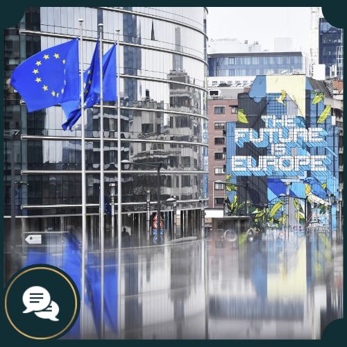 Thriving in the Brussels Bubble: Mentorship, Resilience, and Building Meaningful Networks